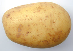 Potato